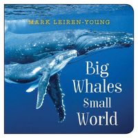 Produktbild: Big Whales, Small World