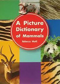 Produktbild: A Picture Dictionary of Mammals: Big Book Grade K