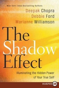 Produktbild: Shadow Effect LP, The