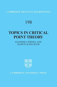 Produktbild: Topics in Critical Point Theory
