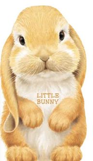 Produktbild: Caviezel, G: Little Bunny