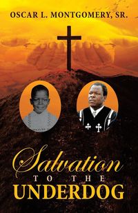 Produktbild: Salvation to the Underdog