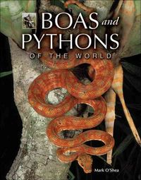Produktbild: Boas and Pythons of the World