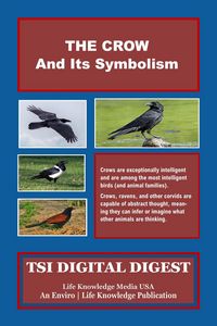 Produktbild: The Crow And Its Symbolism