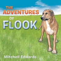 Produktbild: The Adventures Of Flook