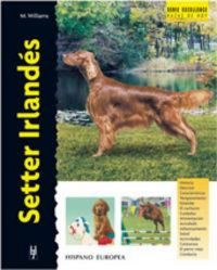 Produktbild: Setter irland&eacute;s