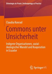 Produktbild: Commons unter Unsicherheit
