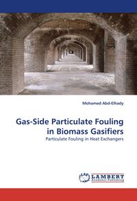 Produktbild: Gas-Side Particulate Fouling in Biomass Gasifiers