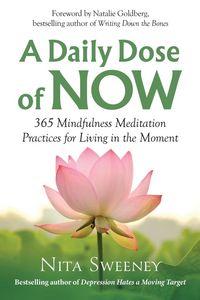 Produktbild: A Daily Dose of Now