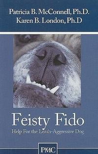 Produktbild: Feisty Fido