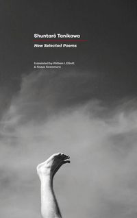 Produktbild: New Selected Poems