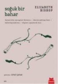 Produktbild: Soguk Bir Bahar