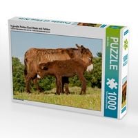 Produktbild: CALVENDO Puzzle Typvolle Poitou Esel Stute mit Fohlen 1000 Teile Puzzle quer | 1000 Teile Lege-Gr&ouml;&szlig;e 64 &times; 48 cm Foto-Puzzle f&uuml;r gl&uuml;ckliche Stunden