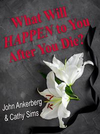 Produktbild: What Will Happen to You After You Die?