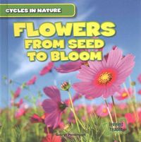 Produktbild: Cycles in Nature Flowers