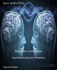 Produktbild: Denn sie erwachten