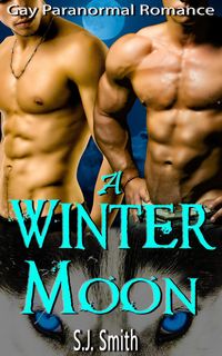 Produktbild: A Winter Moon - Gay Paranormal Romance