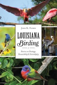 Produktbild: Louisiana Birding