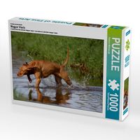 Produktbild: CALVENDO Puzzle Jagdfieber | 1000 Teile Lege-Gr&ouml;&szlig;e 64x48cm Foto-Puzzle f&uuml;r gl&uuml;ckliche Stunden