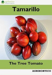 Produktbild: Tamarillo: The Tree Tomato