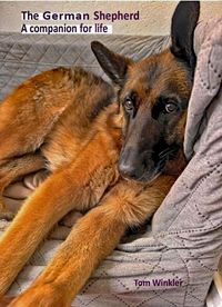 Produktbild: The German Shepherd - a companion for life
