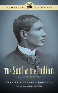 Produktbild: Soul of the Indian