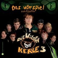 Produktbild: Die Wilden Kerle 3