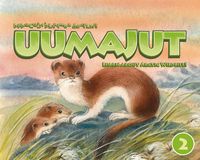 Produktbild: Uumajut, Volume 2