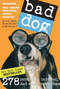 Produktbild: Bad Dog