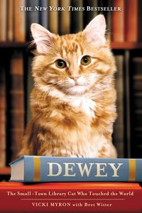 Produktbild: Dewey