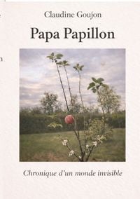 Produktbild: Papa Papillon