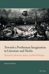 Produktbild: Towards a Posthuman Imagination in Literature and Media