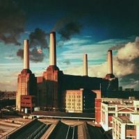 Produktbild: Animals