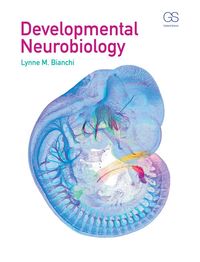 Produktbild: Developmental Neurobiology