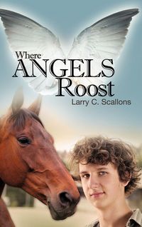 Produktbild: Where Angels Roost