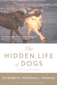 Produktbild: The Hidden Life Of Dogs