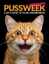 Produktbild: McFly, B: Pussweek