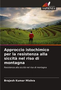 Produktbild: Approccio istochimico per la resistenza alla siccit&agrave; nel riso di montagna