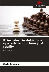 Produktbild: Principles: in dubio pro operario and primacy of reality