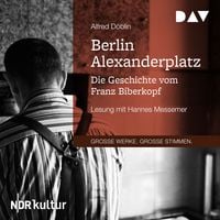Produktbild: Berlin Alexanderplatz. Die Geschichte vom Franz Biberkopf