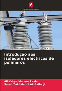 Produktbild: Introdu&ccedil;&atilde;o aos isoladores el&eacute;ctricos de pol&iacute;meros