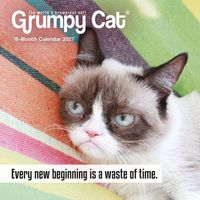 Produktbild: Grumpy Cat 2027 Mini Wall Calendar