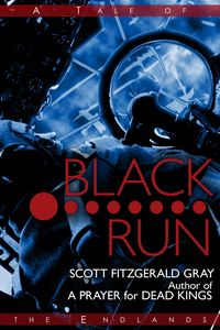 Produktbild: Black Run (Tales of the Endlands, #10)