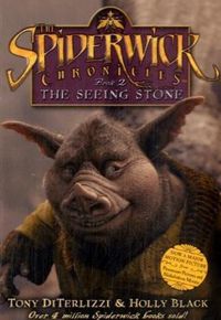 Produktbild: Seeing Stone