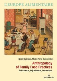 Produktbild: Anthropology of Family Food Practices