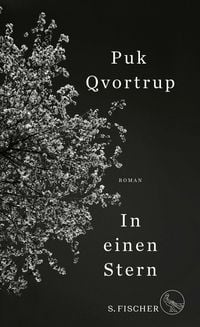 Produktbild: In einen Stern