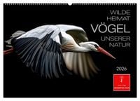 Produktbild: Wilde Heimat - V&ouml;gel unserer Natur (Wandkalender 2026 DIN A2 quer), CALVENDO Monatskalender