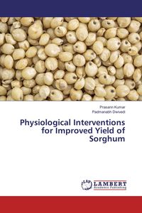 Produktbild: Physiological Interventions for Improved Yield of Sorghum