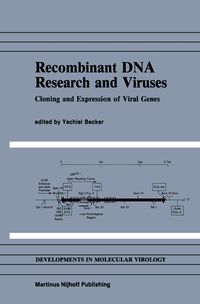 Produktbild: Recombinant DNA Research and Viruses