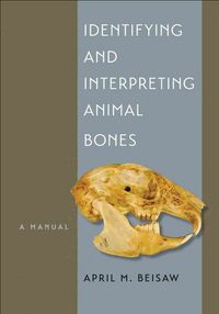 Produktbild: Beisaw, A: Identifying and Interpreting Animal Bones